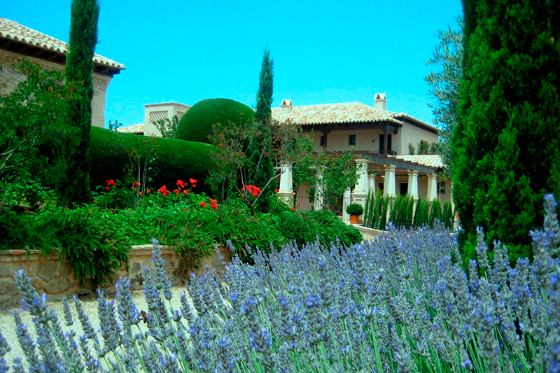Parque de lavanda en el Cigarral de las Mercedes reuniones de empresa en el cigarral de las mercedes toledo cerca de madrid catering empresas y bodas