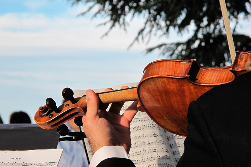 Violín durante una comida de trabajo reuniones de empresa en el cigarral de las mercedes toledo cerca de madrid musica en directo